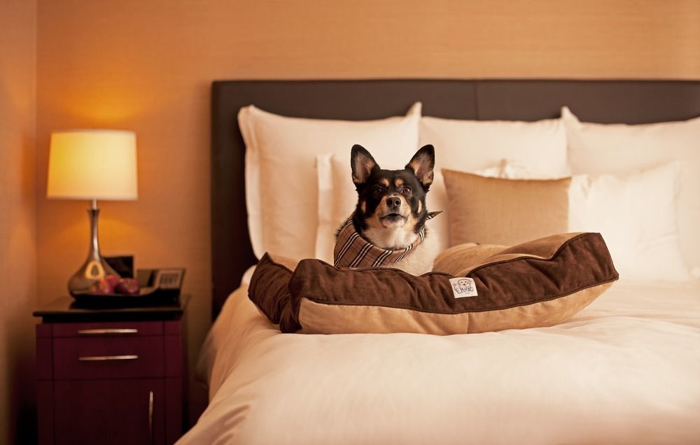 Hyatt Place Sterling Dulles Airport North Dış mekan fotoğraf